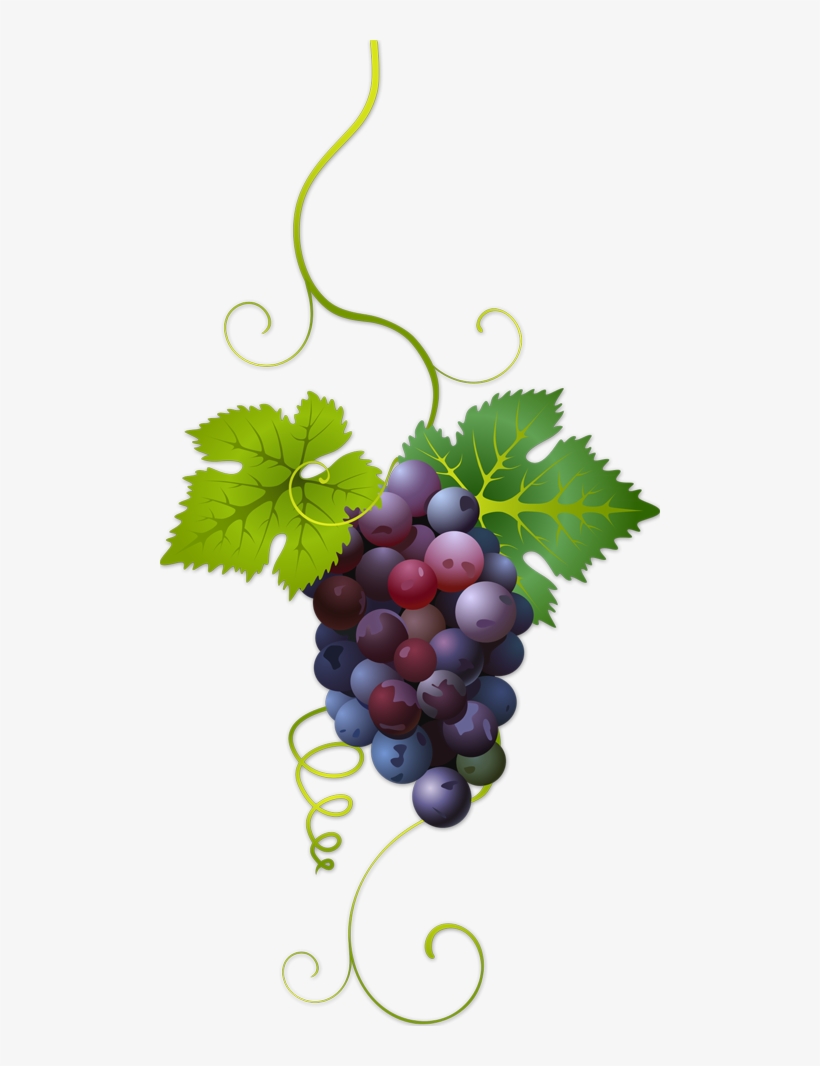 Mis Laminas Para Decoupage - Variedades De Uvas Tintas, transparent png download