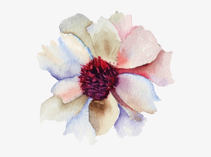 Monastrell - Magnolia, transparent png download