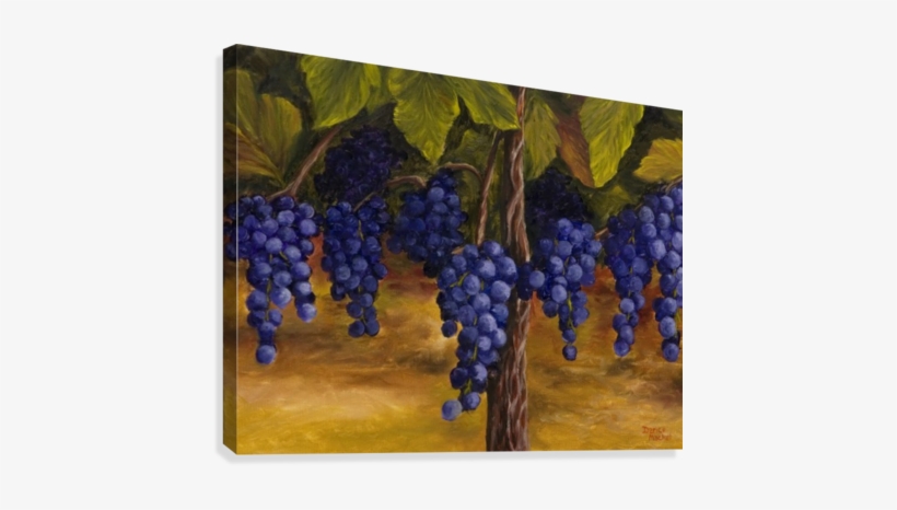 On The Vine Impression Sur Toile - Im Vine You Are The Branches, transparent png download