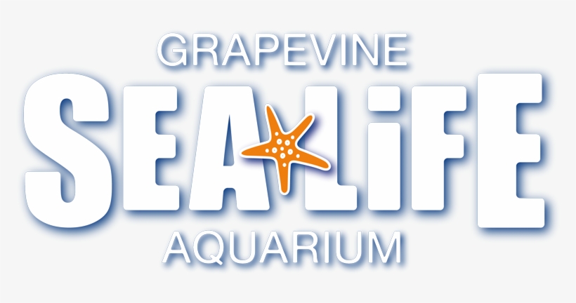Sea Life London Aquarium, transparent png download