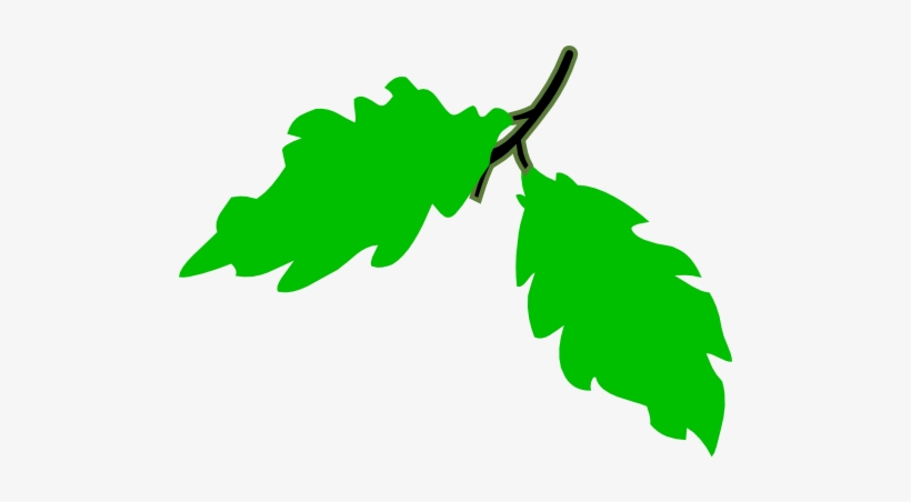 Grapes Vine Background Royalty Free Cliparts, Vectors, - Grapes Clipart, transparent png download