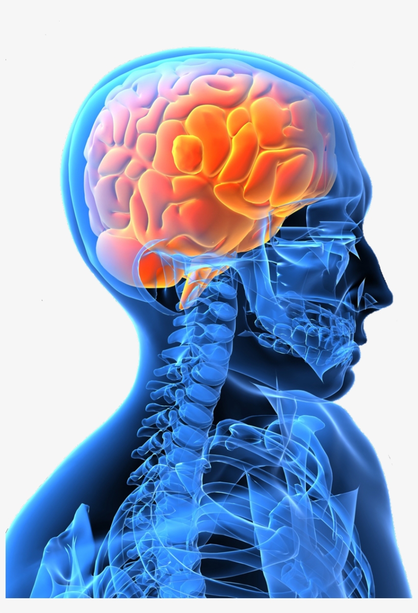 Stroke Treatment And Management Of Its Effects With, transparent png download