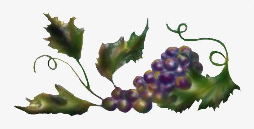 Top Grapes Sidebar - Wine, transparent png download