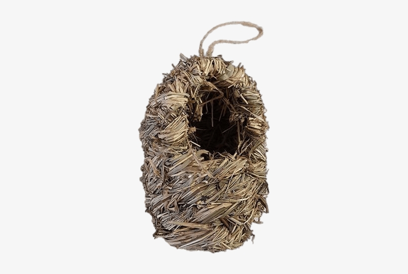 Nature - Bird Nest, transparent png download