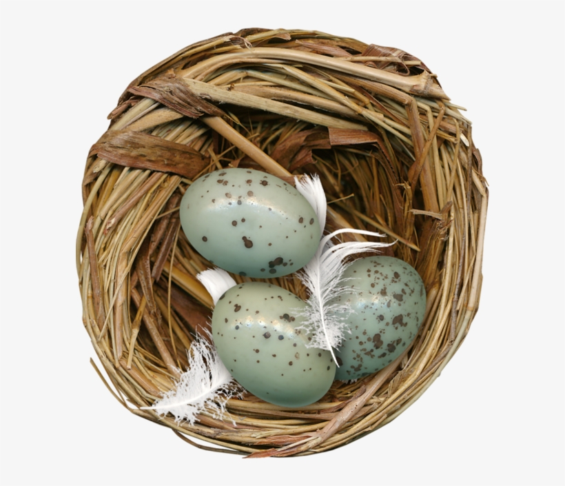 Nest Png Image Hd - Portable Network Graphics, transparent png download