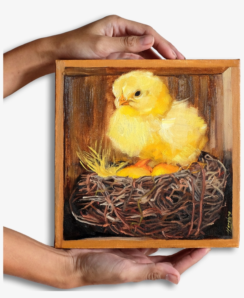Chick And Nest In Wooden Box - Picture Frame, transparent png download
