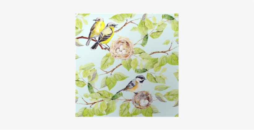 Birds, Nest On Branch - Saint-priest Canvas Print, transparent png download