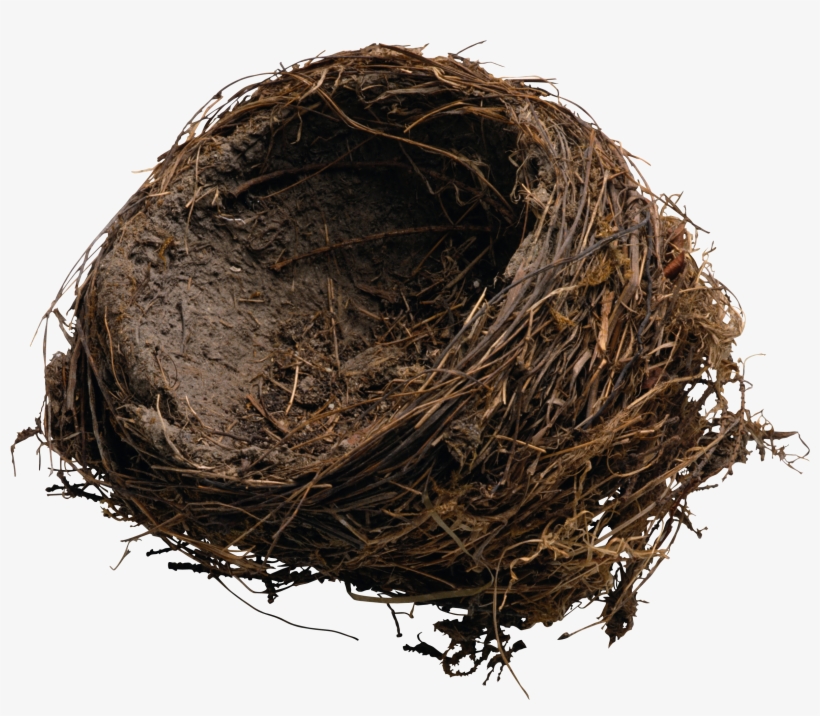 Bird Nest, transparent png download