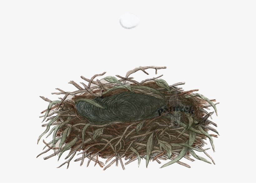 Dove Cottage - Nest, transparent png download