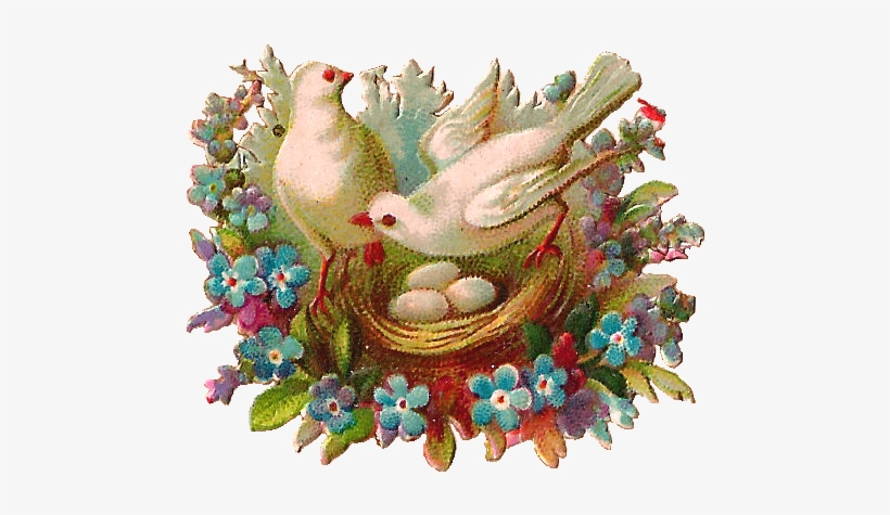 This Color Makes Me Think About My Mother - Free Flower And Bird Clip Art, transparent png download