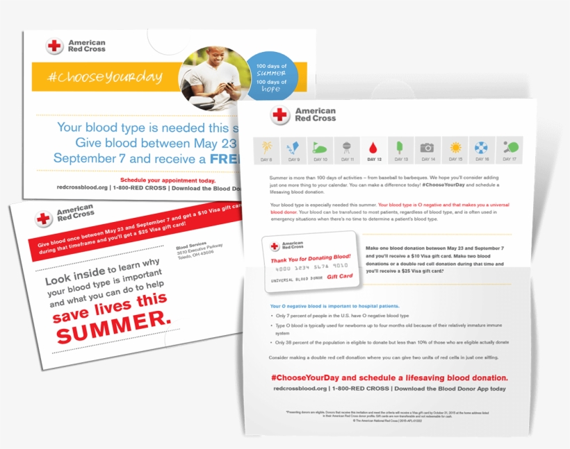 Red Cross Past Direct Mailer - Web Page, transparent png download