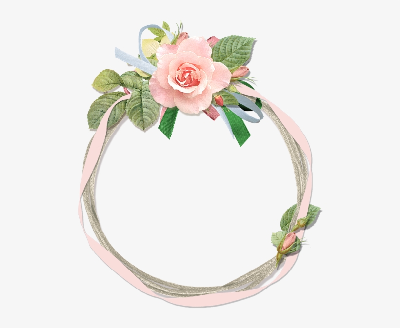 Floral Frame - Flower, transparent png download