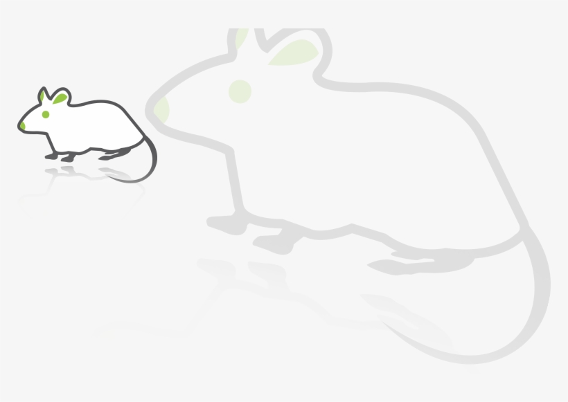Animals, transparent png download