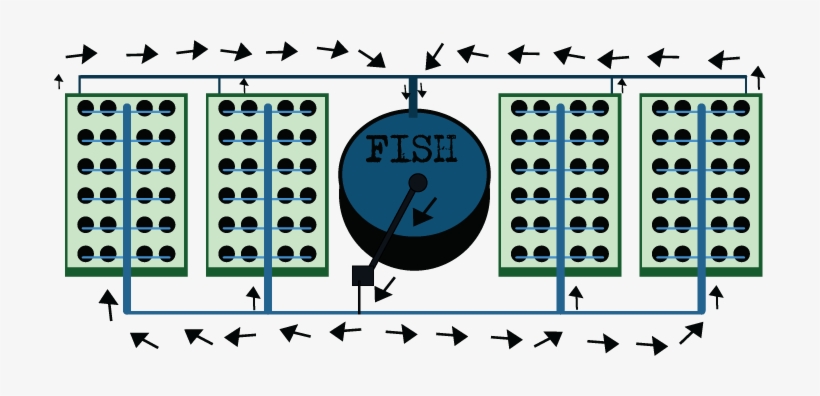 The Diagram Above Shows A Simplified Verson Of A Drip - Aquaponics, transparent png download
