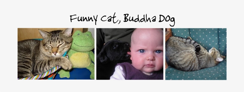 Mommy Feeds Baby [book], transparent png download