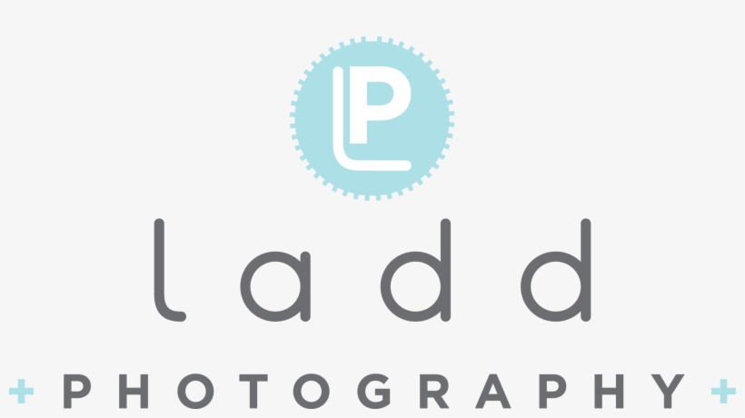 Houston Event & Portrait Gallery By Ladd Photography, transparent png download