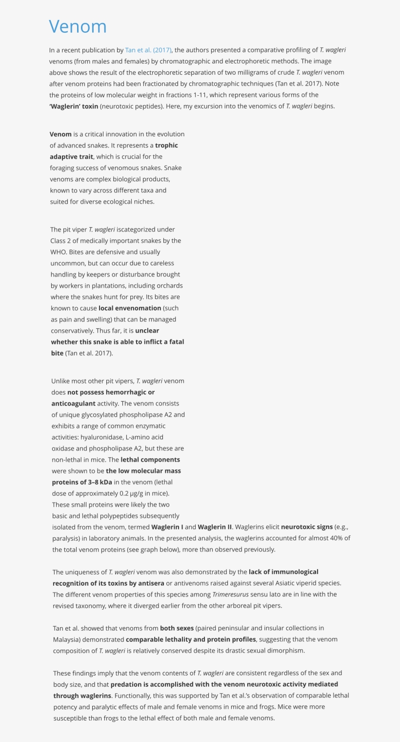Venom In A Recent Publication By Tan Et Al, transparent png download