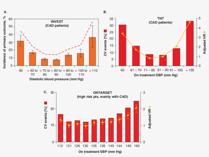 J-curve In The Invest, (b) Tnt And (, transparent png download
