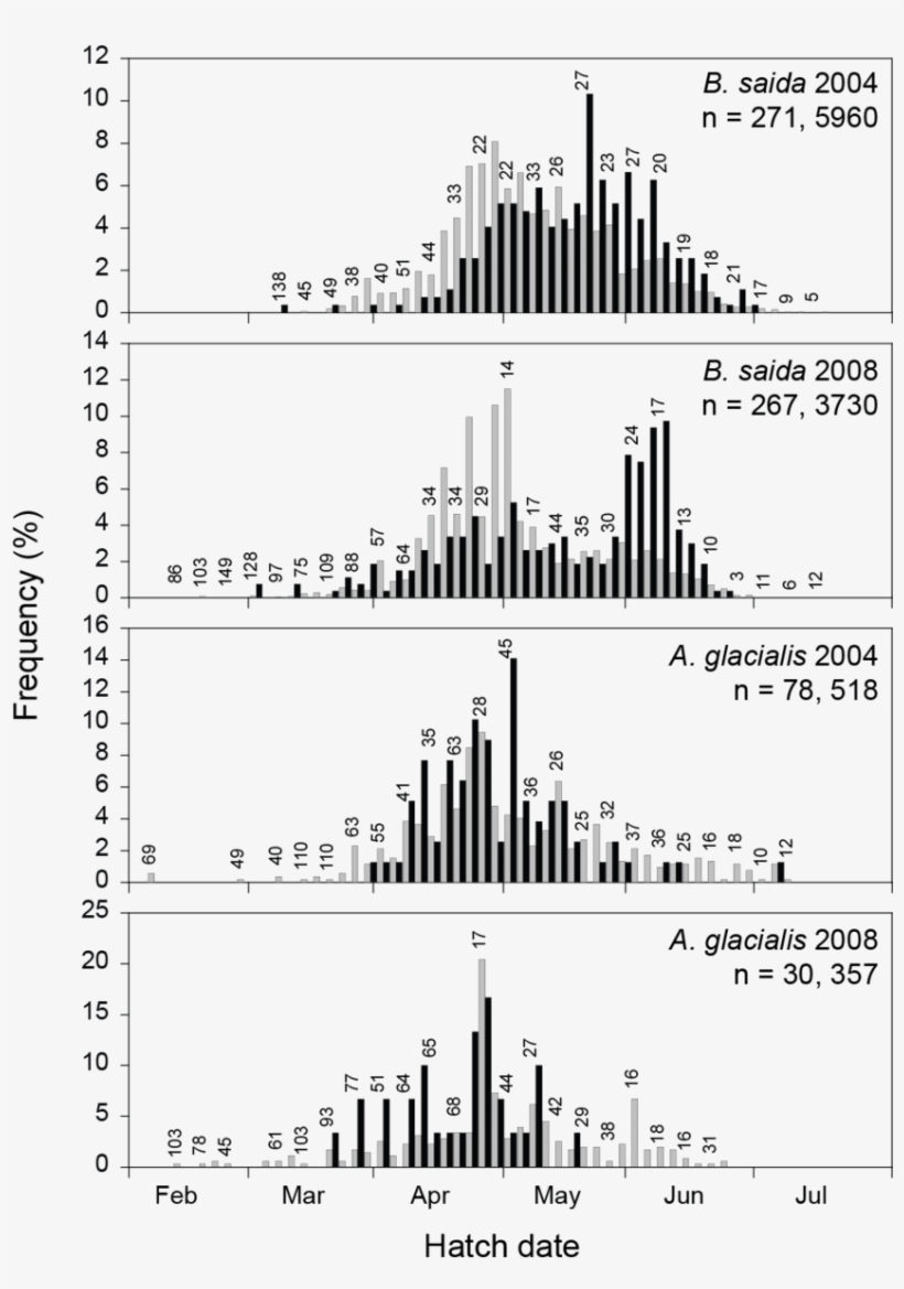 Hatch Date Frequency Distributions Of Boreogadus Saida, transparent png download