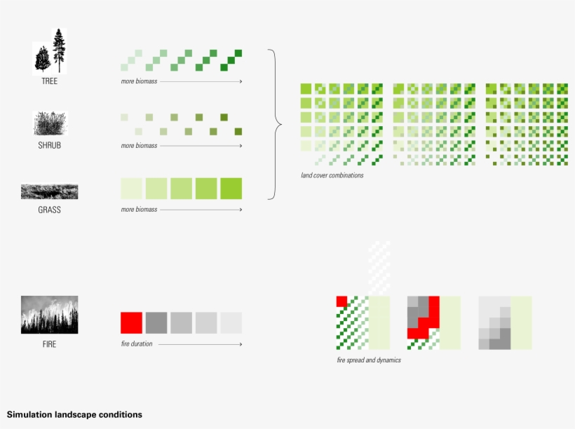 A Range Of Hatch Patterns Conveyed Varying Stages Of, transparent png download