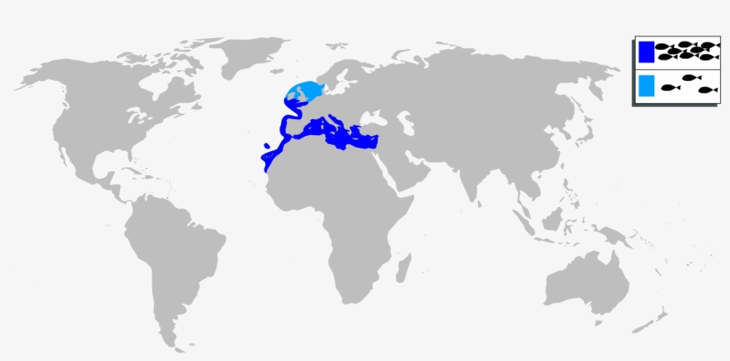 Open, transparent png download