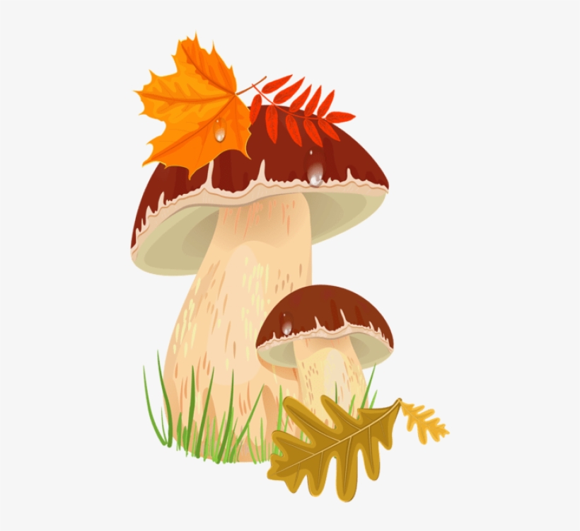 Free Png Fall Mushroomspicture Png Images Transparent, transparent png download