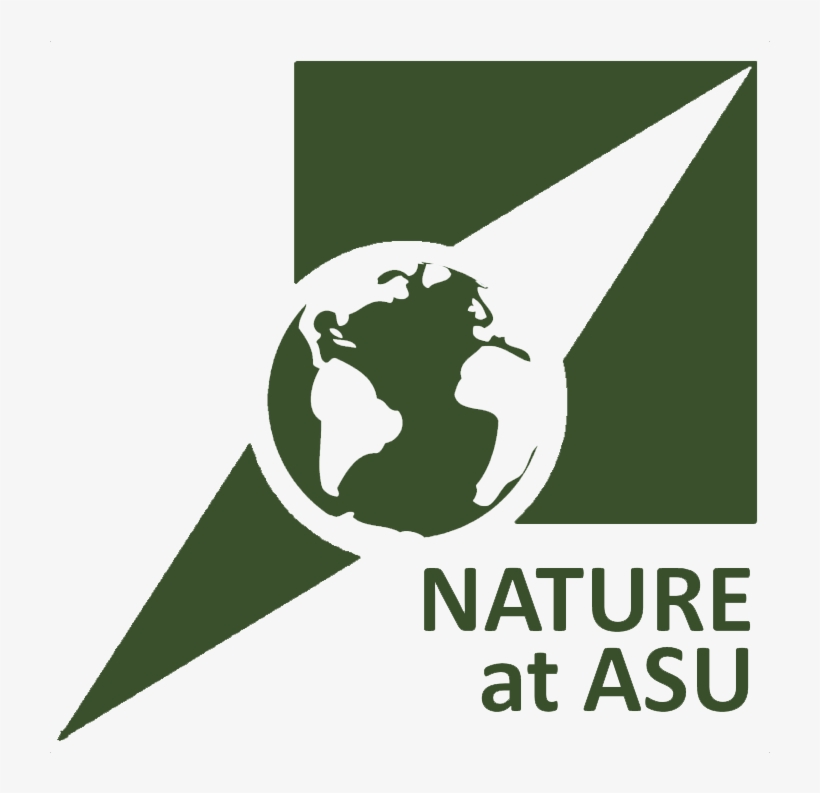 Asu Png, transparent png download