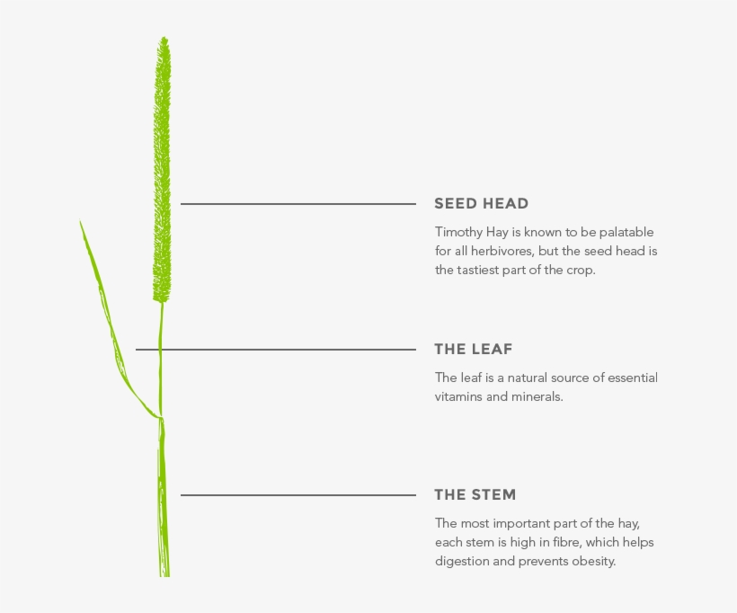 Newhayfeeds Unique “field To Pack” Farm & Manufacturing, transparent png download