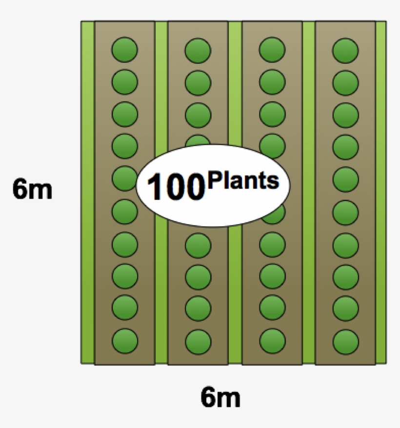 Rows, transparent png download