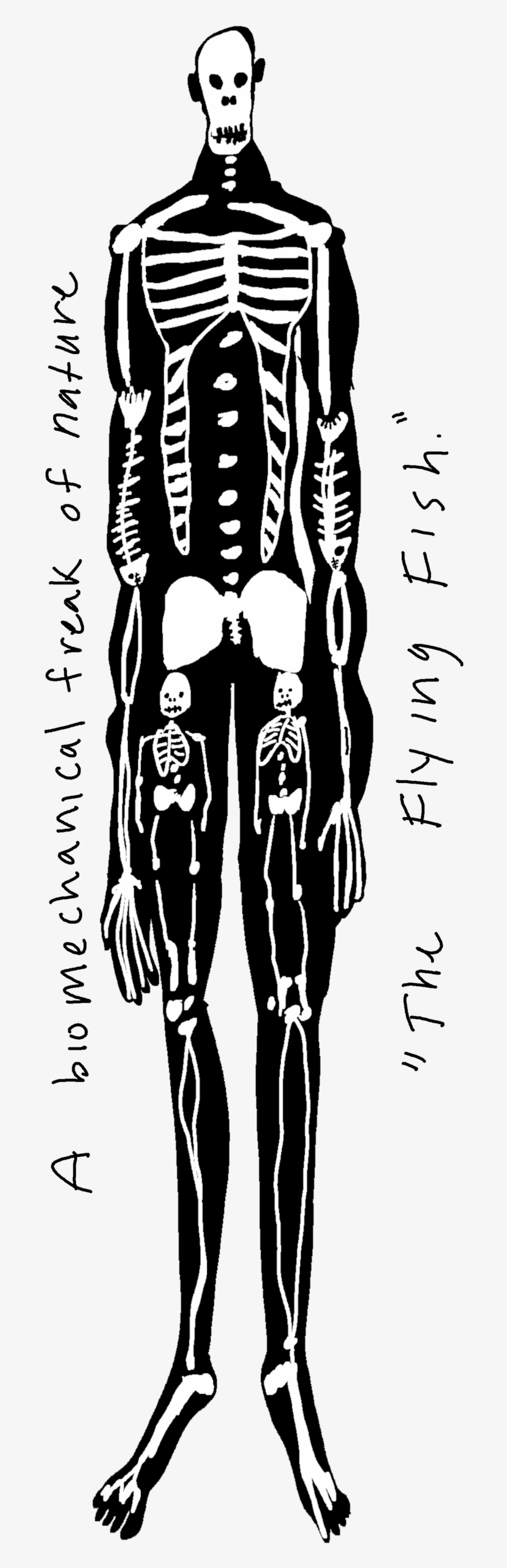 Are They Blown To Land From The Sea By The Moist Breath, transparent png download