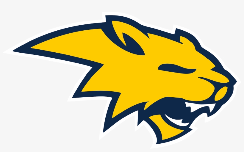 Neuqua V, Ey News, transparent png download