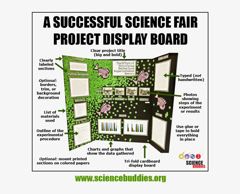 Mastering The Project Display Board, transparent png download