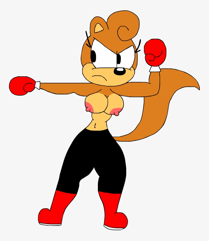 Boxer Suzy, transparent png download