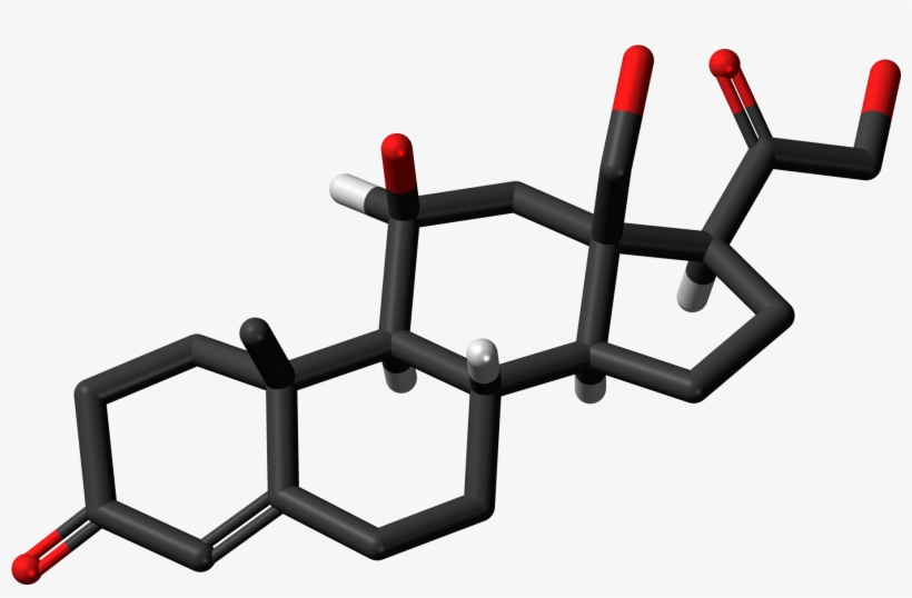 18 Hydroxycorticosterone 3d Skeletal Sticks, transparent png download