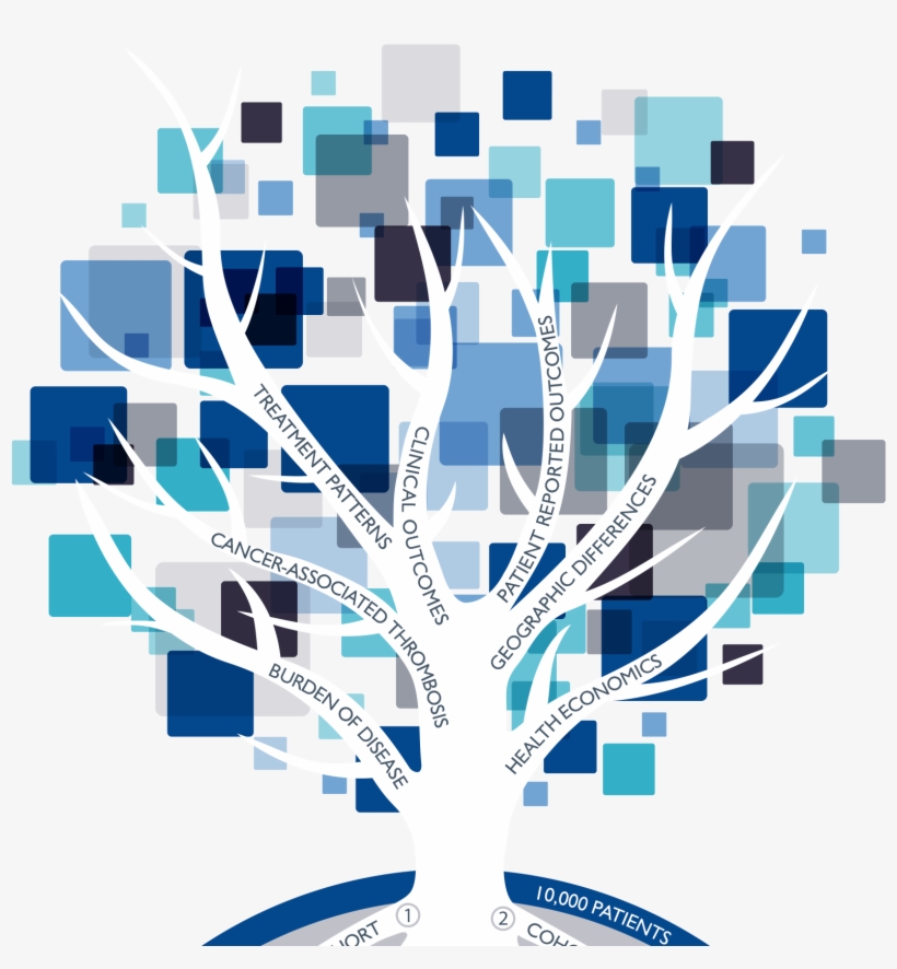Explore The Tree, transparent png download