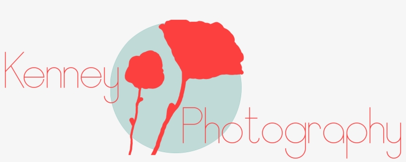 Kenney Photography, transparent png download