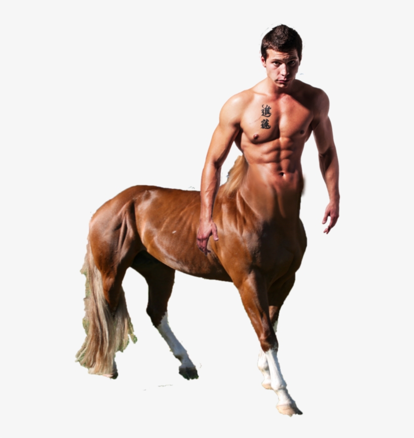 This Png File Is About Buff , Centaurs, transparent png download