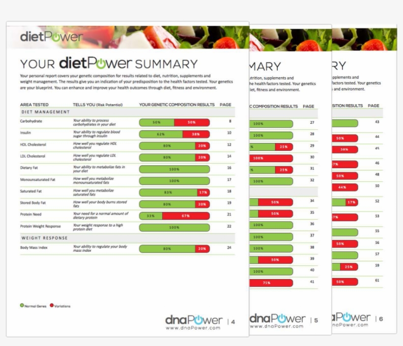 An Example Report From Dnapower, transparent png download