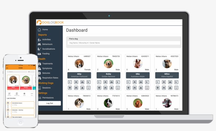 Hooray, You Found Us, transparent png download