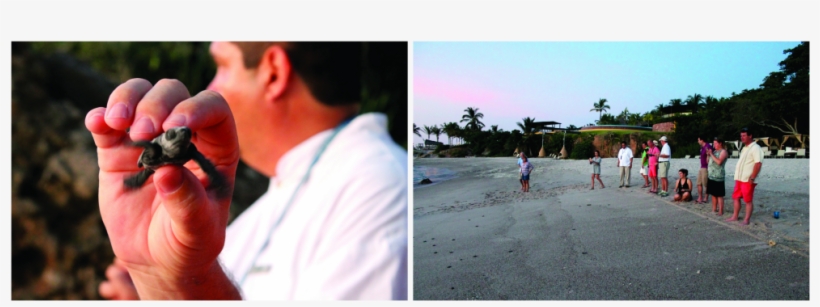 Four Seasons Punta Mita, transparent png download