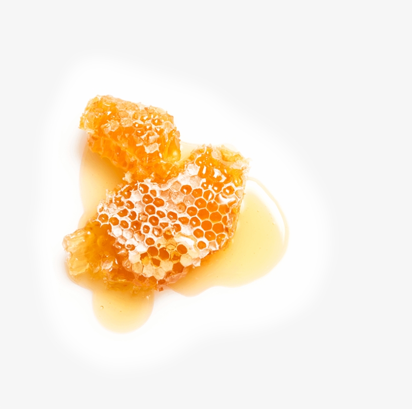 Honey, transparent png download