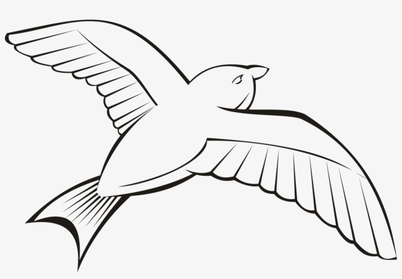 Kisscc0 Bird Beak Flight Wing Penguin In 6 Outline, transparent png download