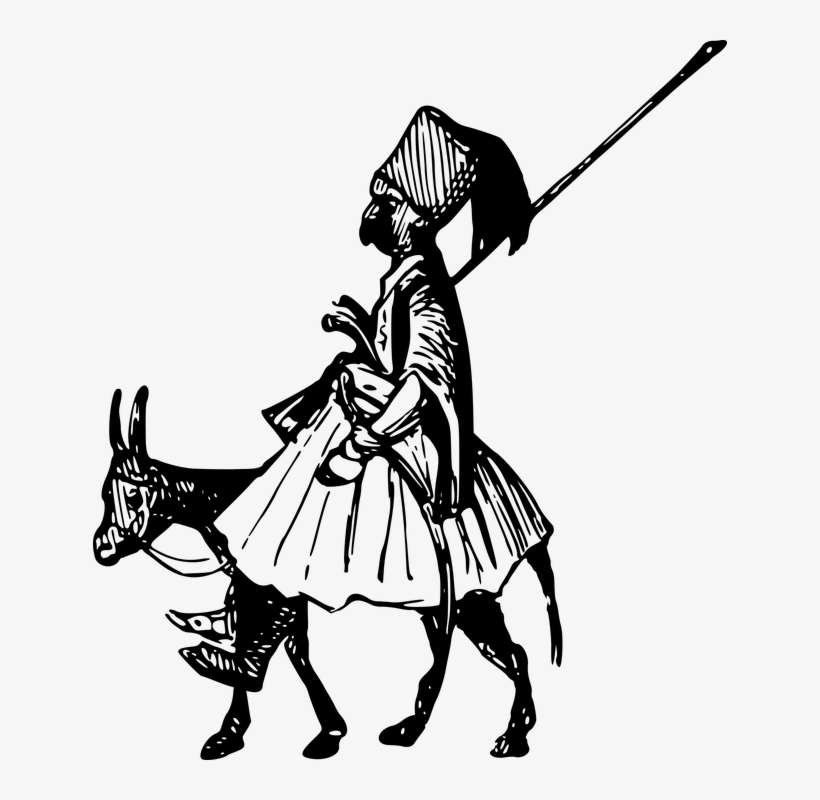 Animal, Donkey, Humor, Humorous, Humour, Rider, Riding, transparent png download