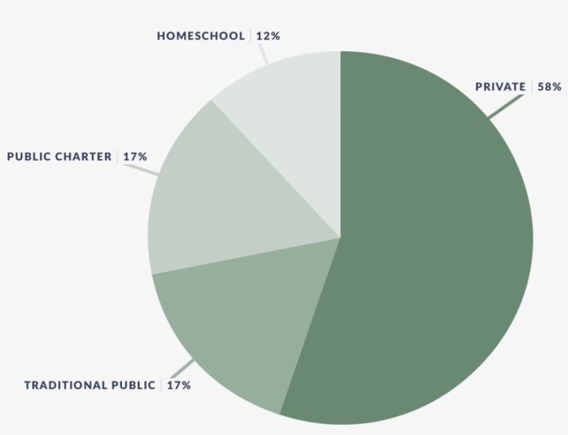 School Types Attended, transparent png download