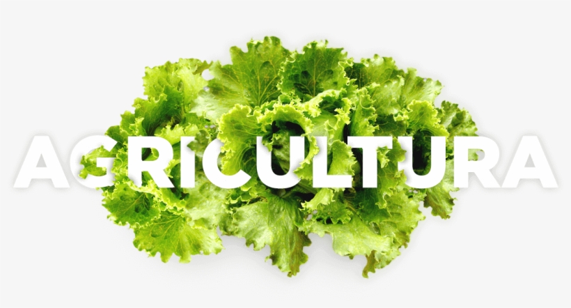Agricultura, transparent png download