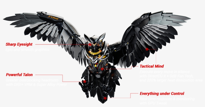 Strix Means Feeling Your Environment So That You Detect, transparent png download