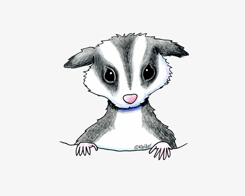 Bleed Area May Not Be Visible, transparent png download