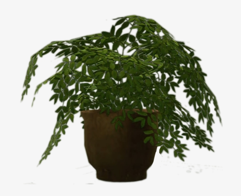 Pot Plant Png - Png Of Dead Plants, transparent png download