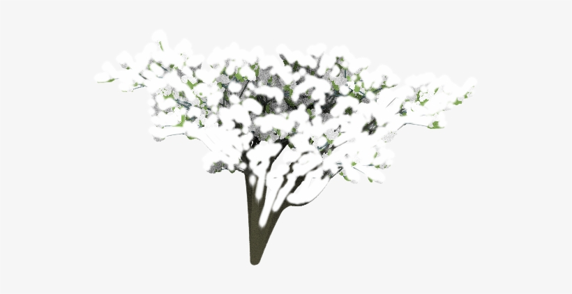 Feel Free To Use The Above Royalty-free - Bouquet, transparent png download
