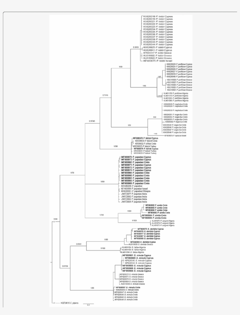 Download Bayesian Inference Tree (number Above Branches Represent ...